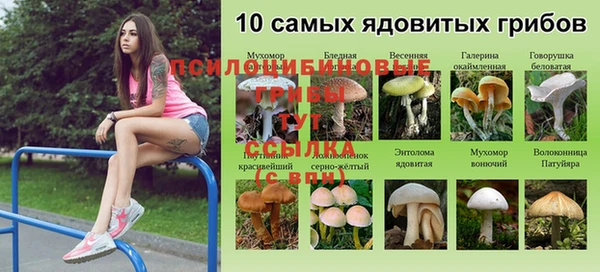 MDMA Осташков
