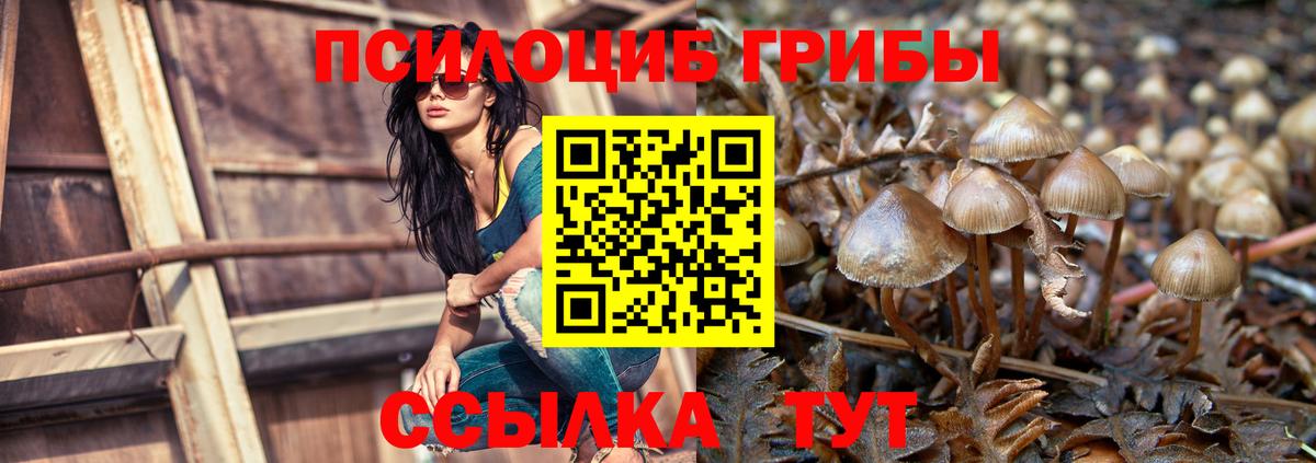Псилоцибиновые грибы прущие грибы  Псилоцибиновые грибы мицелий  Вход с VPN  Выборг 