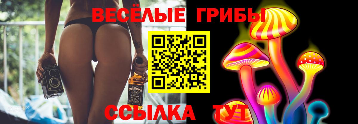 Псилоцибиновые грибы Cubensis  Галлюциногенные грибы мухоморы  Вход с VPN  Выборг 